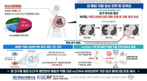 폐암 EGFR 항암제 내성, ecDNA·RAF1이 주범이었다